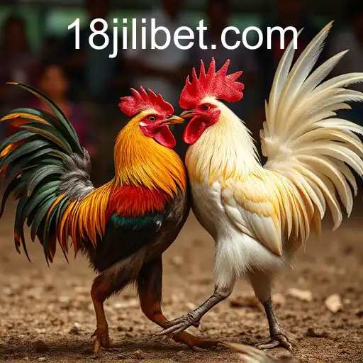 The Rise of Online Sabong and the Role of 18JILI